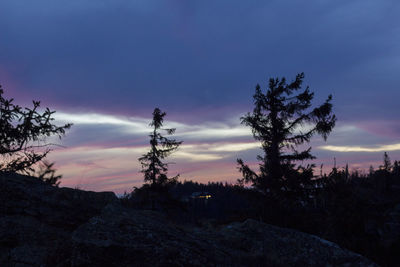 Silhouette of trees at sunset