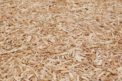 Sawdust or wood chip background