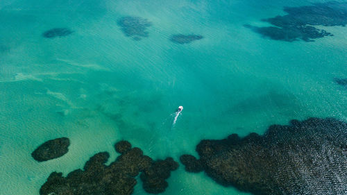 High angle view of people swimming in sea