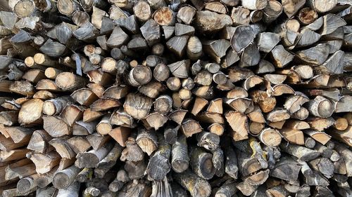 Full frame shot of logs in forest