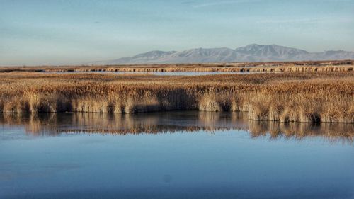 Scenic view of lake against sky