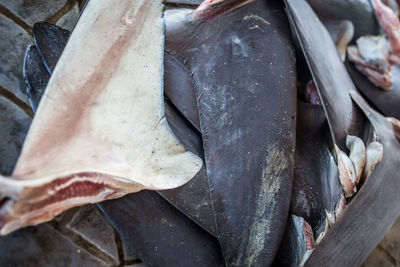 High angle view of fish for sale in market