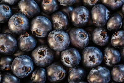 Full frame shot of blueberries