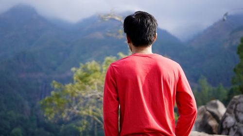 Rear view of man looking at mountains