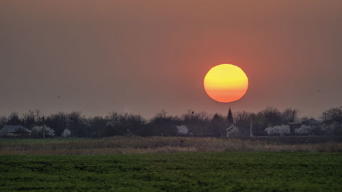 Scenic view of field against sky during sunset