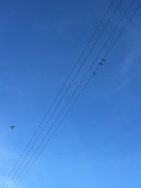 Low angle view of birds flying in sky