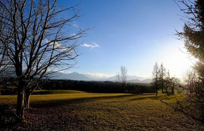 Scenic view of field against sky during sunset