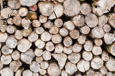 Full frame shot of logs in forest