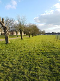 Scenic view of grassy field against cloudy sky