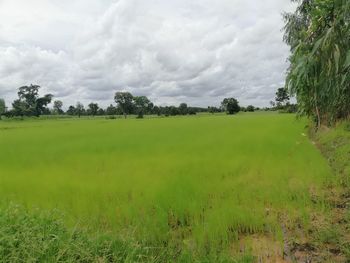 Scenic view of field against cloudy sky