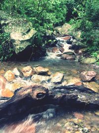 Stream flowing through rocks in forest