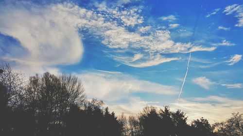 Low angle view of trees against blue sky