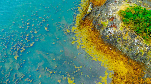 Full frame shot of yellow water on blue sea