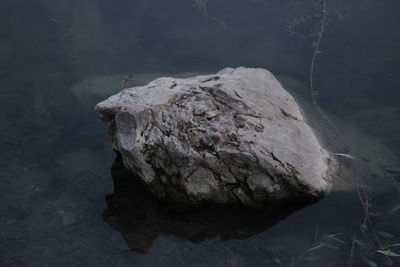 Close-up of rock in water