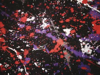 Full frame shot of multi colored tree