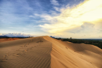 Sand dunes in desert against sky