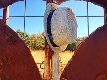 Close-up of tree on field against clear sky