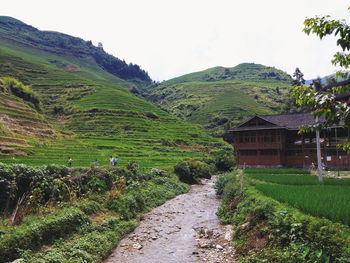 Scenic view of landscape with mountains in background