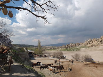 Panoramic view of trees on landscape against sky