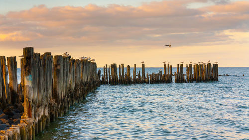 Wooden posts in sea against sky