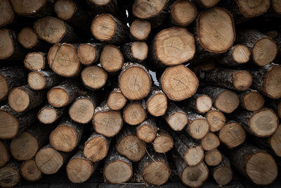 Full frame shot of logs