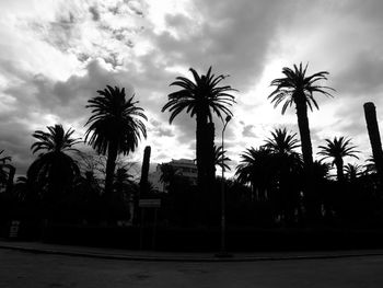 Silhouette palm trees against sky