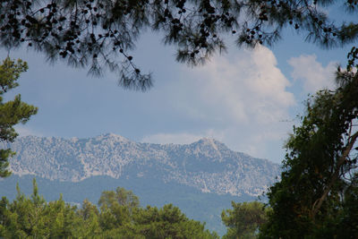 Scenic view of trees and mountains against sky