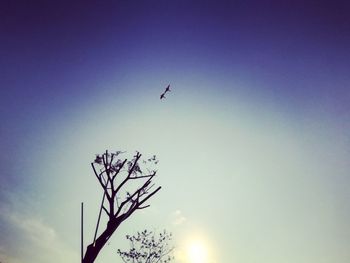 Low angle view of silhouette bird flying in sky