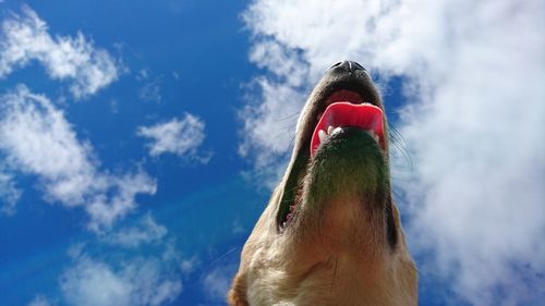 Low angle view of a man against the sky