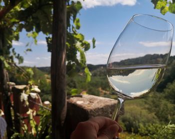 Close-up of hand holding wine glass