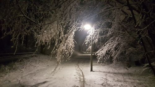 Illuminated street amidst trees during winter at night