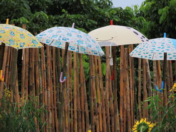 Multi colored umbrellas on field