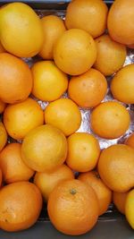 Close-up of oranges for sale in market