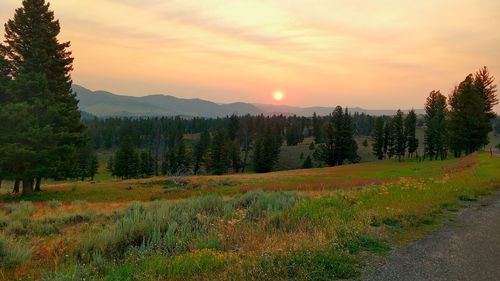 Scenic view of landscape against sky during sunset