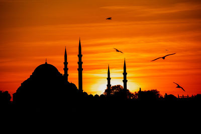 Silhouette of birds flying at sunset