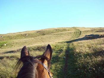 Cropped image of horse on hill against clear blue sky