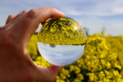 Cropped hand holding crystal ball against sky