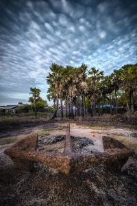 Trees in puddle against cloudy sky