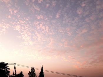 Low angle view of silhouette tree against sky