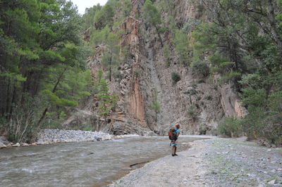Rear view of man walking by stream in forest