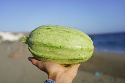 Close-up of hand holding apple against sky