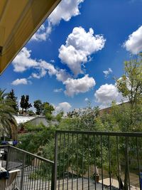 Low angle view of trees against sky