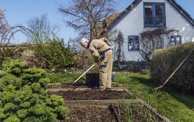 Man gardening