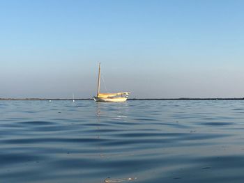 Sailboat sailing in sea against clear sky