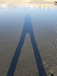 High angle view of shadow on water