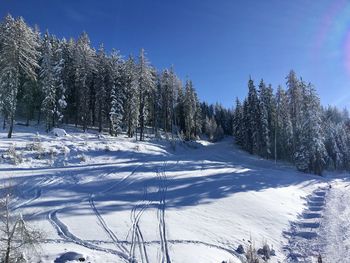 Trees on snow covered field against sky