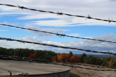 Barbed wire fence