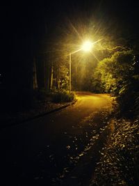 Road amidst trees at night