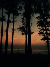 Silhouette trees on beach against sky during sunset