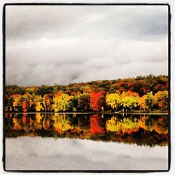 Scenic view of trees against cloudy sky